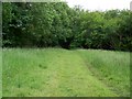 Bridleway into Washers Pit Coppice in DT11 8LH