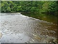 Possible weir above Aysgarth Upper Falls in DL8 3TJ