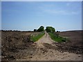 Footpath and bridge over A64 in YO10 5FN