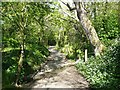 Footpath, Poughill (Bude) in EX23 8SW