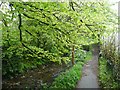 Riverside footpath, Camelford in PL32 9SA