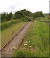 Overgrown railway south of Wisbech in PE14 0EN