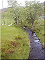 Un-named Stream at Bruaich in IV54 8YQ
