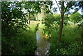 River Bourne off Reeds Lane in TN11 9RH