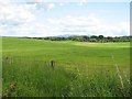 Arable land, Wester Mye in FK8 3NE