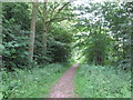 Footpath at Tarman's Copse in RG12 8DR