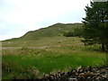 Southwestern slopes of Meall Buidhe in IV40 8JB
