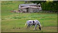 Outbuildings at Tilford Reeds in GU10 2BJ