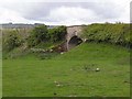 Bridge over the Border Counties Railway at Short Moor in NE48 3NX