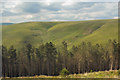 Mynydd yr Aber and Cwm Lluest viewed from Ogmore Forest in CF32 7SL