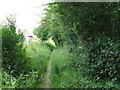 Footpath behind houses in Five Oaks in RH14 9AR