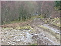 Track to Loch Eishort in IV43 8QZ