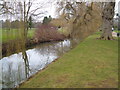 Sherford Stream, Vivary Park, Taunton in TA1 3JT