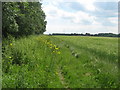 Footpath on Kent/Greater London Border in BR6 7PR