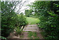 Bridge over a small stream east of Postern Park in TN11 0QR