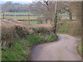 Lane near Stoke St. Mary in TA3 5DD