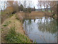 Pond near Netherclay in TA3 5DQ