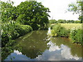 Westerly view of the River Arun near Loves Bridge in RH14 0AZ