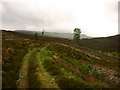 View south from Creagan Dubh track. in PH16 5NQ