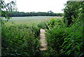 Footbridge across the River Bourne in TN11 9RG