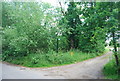 Footpath off Roughway Lane, Dunk's Green in TN11 9SH