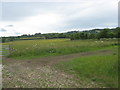 Grazing meadows adjacent to a public footpath in BS41 8JP