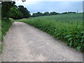 Track to Castle Farm in PO17 5BX
