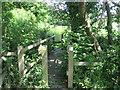 Footbridge on footpath towards Wine Cross in PO17 6DF