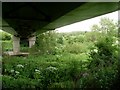 Beneath the Clydeford Bridge in G32 8DJ