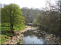 The River Irthing downstream of the Millennium Bridge in CA8 7AA