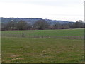 Open farmland in TN11 8DY
