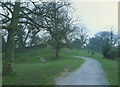 Road through the deer park, Auckland Castle in DL14 7NP