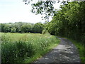 Horsewalk near Wartling in Herstmonceux & Pevensey Levels Ward