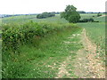 Footpath near Carpenters Copse in PO17 5BD