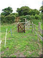 Gates on path past St Mary's church in Forncett