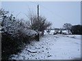 Snowy lane in LL17 0HU