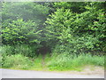Entrance to Norton's Wood in BS21 7AH