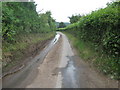 Clevedon Lane heading West out of Clapton-in-Gordano in BS20 7RH