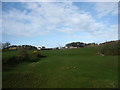 Grazing land at Frigan Farm in Llaneugrad Community