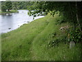 Path by River Dee at Heughhead in AB34 5AX