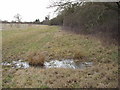 Wet pasture on clay, Saffron Green in EN5 4RA