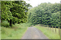 Private track to West Brizlee (2) in NE66 3JA