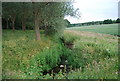 The River Bourne in its upper course in TN11 9RH