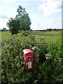 Galton: postbox № DT2 136 in DT2 8EA