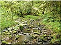Small stream in SA34 0PJ