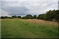 Field in Hutton Country Park in CM13 1DL