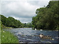 River Wye near Boughrood in LD3 0TH