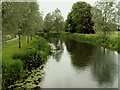 The river Stour as seen from the Millennium footbridge in CO8 5AN