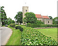 St Mary's church viewed from Burston Road in IP22 5XE