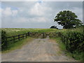 Farm Access Near Dodmarsh in HR1 3RL